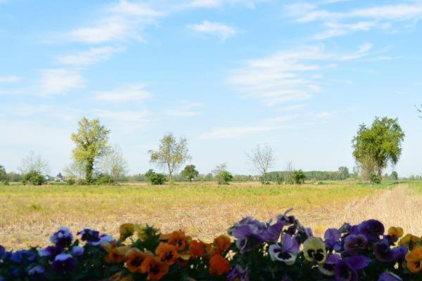 Гостевой дом Carrobbio Bed&Breakfast Кремона Экстерьер фото